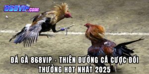 Đá Gà 868Vip