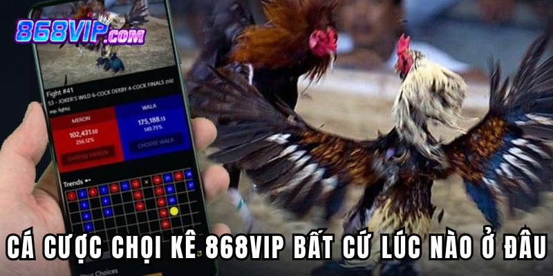 Trải nghiệm cá cược chọi kê 868vip bất cứ lúc nào ở đâu