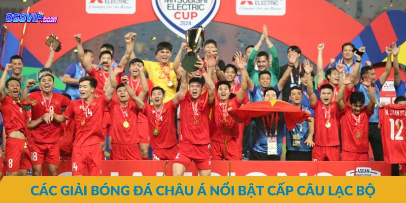 Sự phát triển của các giải bóng đá châu Á hiện nay