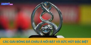 Các giải bóng đá Châu Á