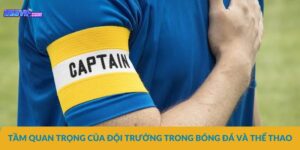 Tầm quan trọng của đội trưởng